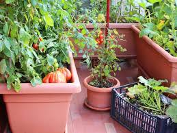 There is no such thing as foolproof vegetable gardening, but container vegetable gardening comes close by reducing problems posed by weather and critters. Container Gardening Growing Vegetables In Containers