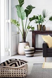 Queda claro que entre las tendencias en decoración de interiores con plantas, las macetas convencionales quedan prácticamente en el olvido. Animate A La Decoracion De Interiores Con Plantas