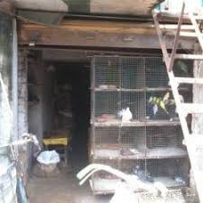 Find bird supplies online at petsmart, with the latest accessories including stylish cages, fun toys, perches and bedding. Pradhan Bird Shop Mathchandipur Pet Shops For Birds In Midnapore Justdial