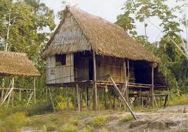 ashaninka s houses indigenous tribe that live on the brazilian peruvian region moradia dos indios house arquitetura vernacular