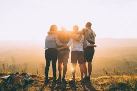 Gogs cute friends best friends forever friendship puppy kitten nature high quality wallpaper. Travel Friends Pictures Download Free Images On Unsplash