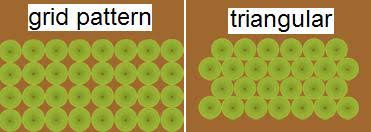 plant spacing quantity calculator