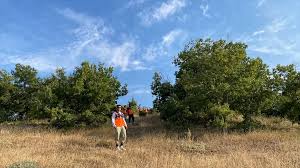 Haberler - News update