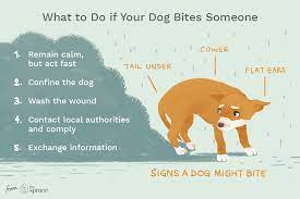 Oct 02, 2019 · how to interact safely with a dog. Reasons Why Dogs Bite And How To Stop It