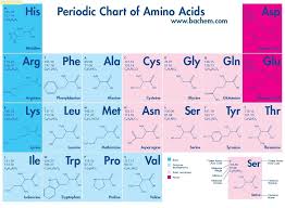Amino Acids Chart Google Search Biochemistry Notes
