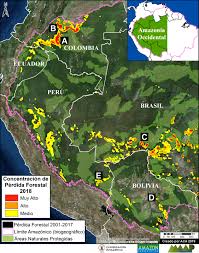 Al sur con el territorio de uruguay, al este con el océano atlántico; Maap 100 Amazonia Occidental Hotspots De Deforestacion Del 2018 Una Perspectiva Regional Maap