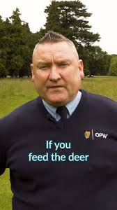 Phoenix Park's Video