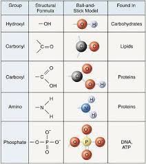 Functional Groups Chart Google Search Functional Group