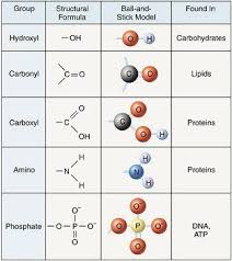 Functional Groups Chart Google Search Functional Group