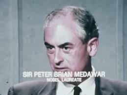 The Futurists (1967)