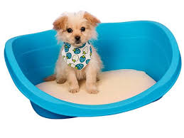 Resistance to medium dog's chewing. Top 8 Best Chew Proof Tear Resistant Toughest Dog Bed In 2020