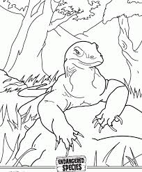 Komodo dragon click the komodo dragon coloring pages to view printable version or color it online compatible with ipad and android tablets. Komodo Dragon Coloring Pages Coloring Home
