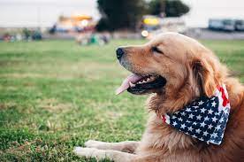 The professional and courteous staff at all about pets veterinary hospital seeks to provide the best possible medical care, surgical care and dental. Healthy Pets Animal Hospital And Rehabilitation Center Home Facebook