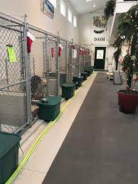 Luckily, dog and cat boarding facilities are abundant, with varied services and cost. Dog Boarding In Northeast Ohio Meadow Run Dog Boarding And Training