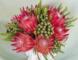Sugarbush Bouquet 016 Web Jpg 943 720 Hand Tied Bouquet Protea Flower Flora Flowers