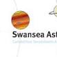 Swansea Astronomical Society meeting event image