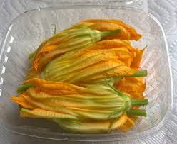 This assists you to look and experience healthy, boost your power, strengthen your weight and mood, and enhance your rest and resilience to stress. How To Freeze Zucchini Flowers