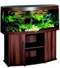 Betta fish, also known as siamese fighting fish, defend their territory fiercely. Betta Fish Tanks Petsmartpet Photos Gallery Fish Pet Photos Gallery Nwpdyrak2m