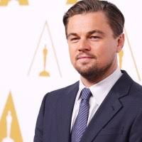 Oscars: Adobe Says America Wants 'Gravity' and Leonardo DiCaprio to Win
