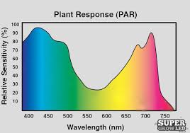 We did not find results for: Pin On Greenhouse Indoor Gardening