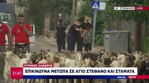 Σταμάτα τον πριν κάνει κάτι που θα το μετανιώσει. Nfonaaloncevdm