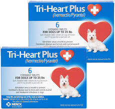 Maybe you would like to learn more about one of these? Tri Heart Plus Chewable Tablets For Dogs Up To 25 Lbs Blue Box Chewy Free Shipping