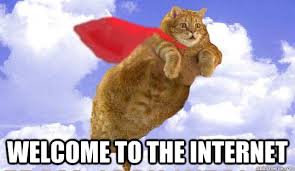 Image result for welcome to the internet meme