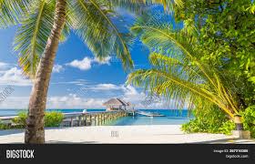 Maybe you would like to learn more about one of these? Maldives Paradise Image Photo Free Trial Bigstock