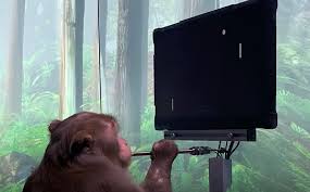 Please follow the sub rules, remember to upvote. Neuralink Monkey Know Your Meme