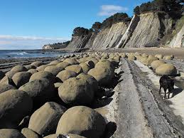 Sonoma Coast