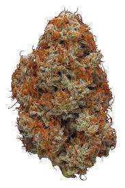 Red Berry Strain Hybrid Cannabis Video Review Hytiva