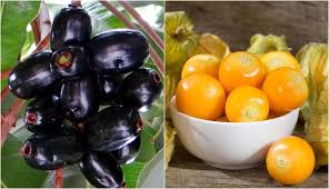 Gambar lemon berbentuk aneh tapi nyata, lemon ini sangat mirip dengan salah satu bagian tubuh pria yang sedang tidur. 11 Buah Ini Punya Nama Berbeda Di Tiap Daerah Mana Sebutan Yang Akrab Di Telingamu Boombastis
