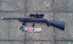 Again, a pellet gun is a great option. 10 Best Pellet Guns For Hunting In 2020 Complete Guide