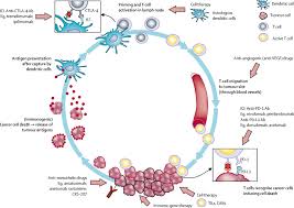 Mesothelioma is a scary form of cancer. Novel Therapies For Malignant Pleural Mesothelioma The Lancet Oncology