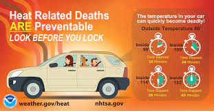 This data is unique in that we were measuring during 110+ degree days, but you can still see the effects of the car. Never Leave A Child Unattended In A Car Lexington Fayette County Health Department