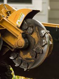 A track stump grinder, on the other hand, is capable of reaching a height of 35 inches since it has the cutting head located on a separate boom. Stump Grinding Faqs What You Need To Know About Stump Removal American Climbers