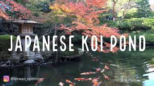 Kotoran padat ini bisa berupa sisa pakan ikan, kotoran ikan koi sendiri, atau partikel padat lain yang masuk kolam. Pin On Kolam Ikan Koi Di Jepang