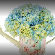 Check spelling or type a new query. Photos At Petra Flowers Flower Shop In Lansing