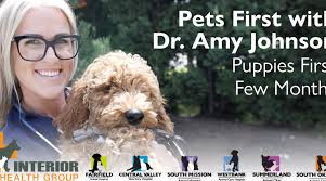 Pet assure powers dvm network, a brand built to support our participating veterinary professionals and help them grow their practice. Information For Pet Owners South Mission Animal Hospital