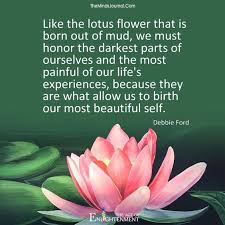 Lovelightandgrowth Lotus Flower Quote Flower Quotes Lotus Flower