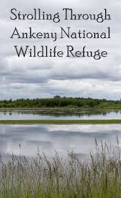 Strolling Through Ankeny National Wildlife Refuge National Wildlife Refuge Wildlife Wildlife Preserve