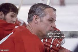 441 Theater Stage Wings Stock Photos, High-Res Pictures, and Images