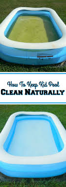 Maybe you would like to learn more about one of these? How To Keep A Kid Pool Clean Naturally Without Chemicals Reuse Grow Enjoy