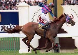 Doriemus Living Legends Melbourne Cup Winners Horse Racing Melbourne Cup