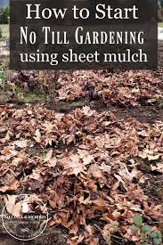 Almost certainly, however, you will receive frost from november 10 through march 22. No Till Gardening Benefits Getting Started