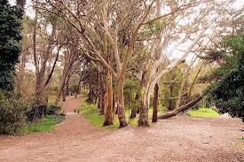 Gesell Historia Y Futuro Gesell Gov Ar