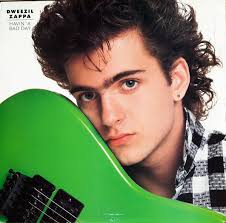 Dweezil Zappa vinyl, 194 LP records & CD found