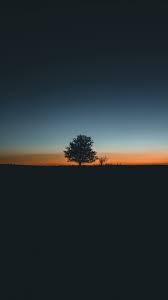 See My Collection Of Pretty Iphone And Android Simple Wallpapers And Background Images In Hd Get Instant A In 2020 Tree Wallpaper Infinity Wallpaper Nature Wallpaper