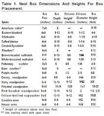 birdhouse hole sizes chart google search cardinal bird