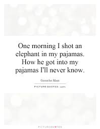 One Morning I Shot An Elephant In My Pajamas Meaning One Morning I Shot An Elephant In My Pajamas How He Got Into My Picture Quotes
